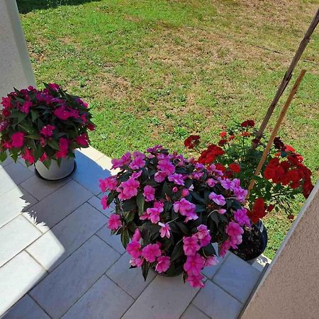 Apartmani Danica Vodnjan Exterior foto