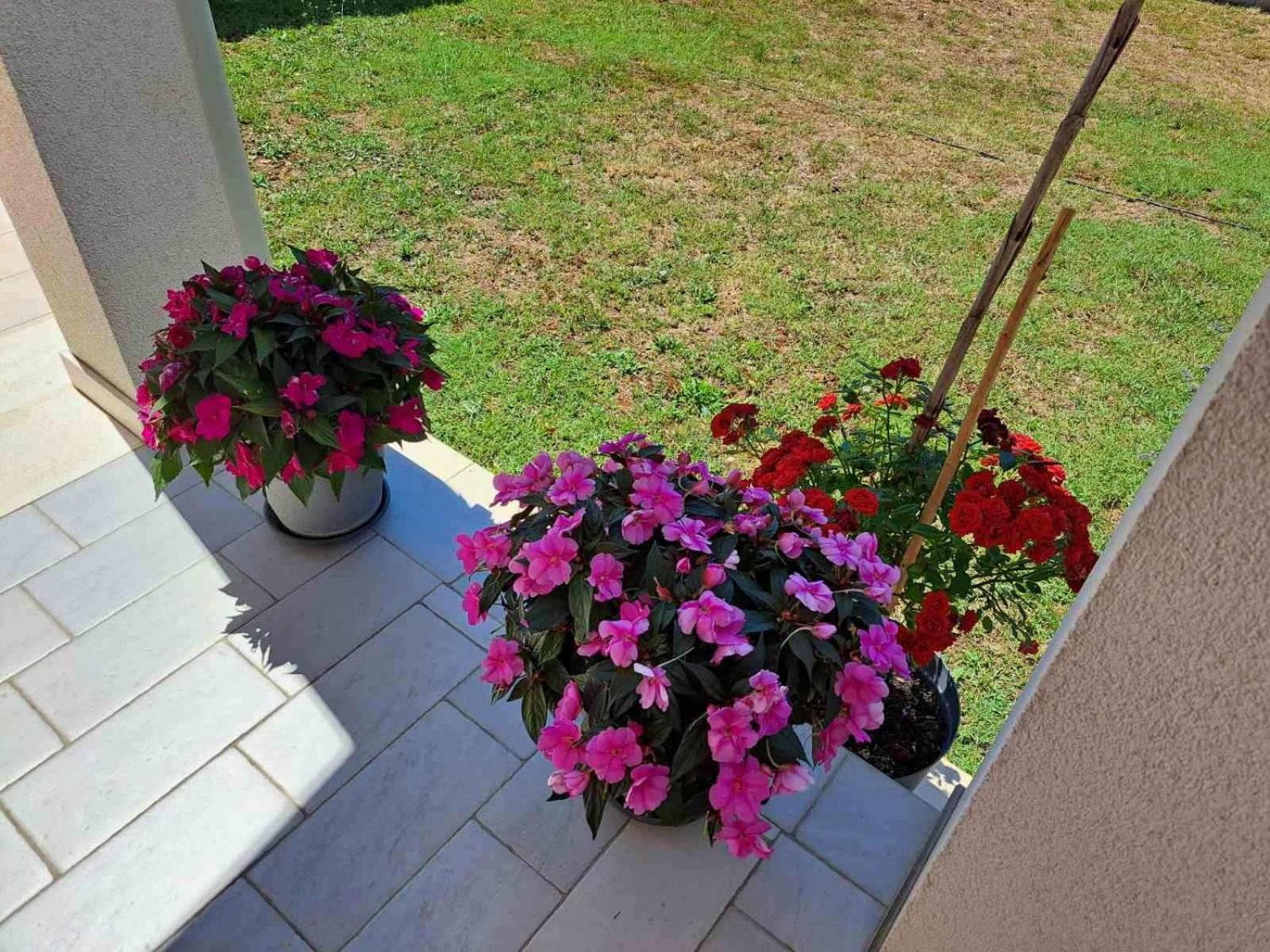 Apartmani Danica Vodnjan Exterior foto